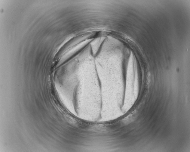 X0000052571162200507291959