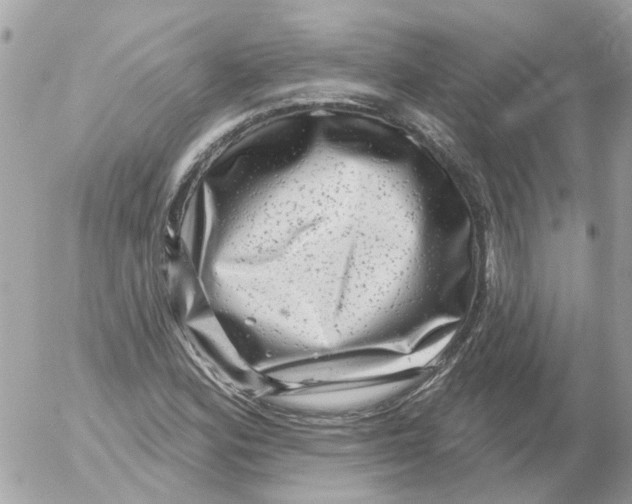 X0000052571164200507291959