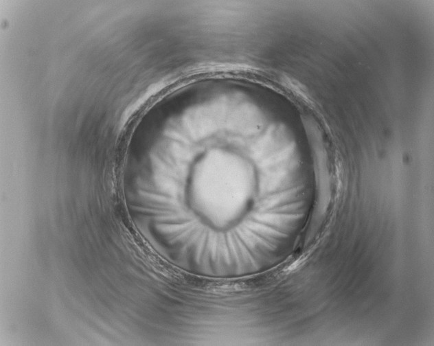 X0000052571165200507291959