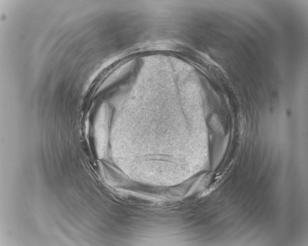 X0000052571166200507291959