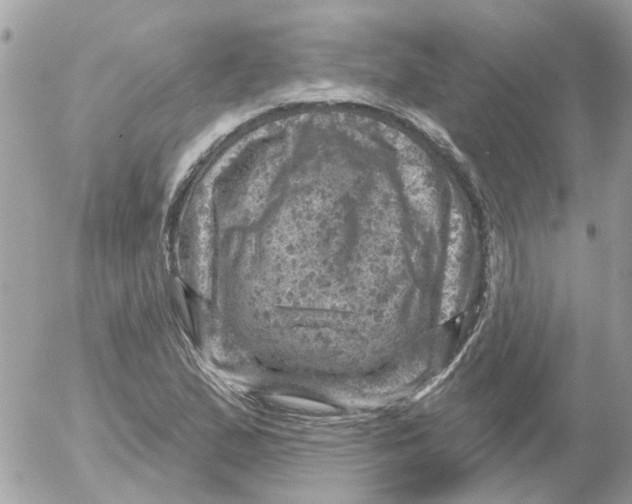 X0000052571167200507291959