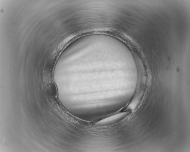 X0000052571169200507291959