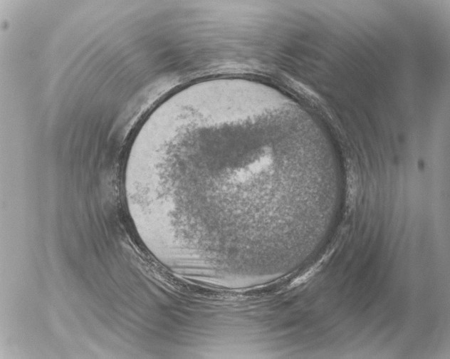 X0000052571170200507291959