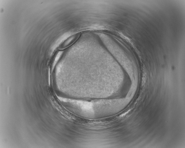 X0000052571171200507291959