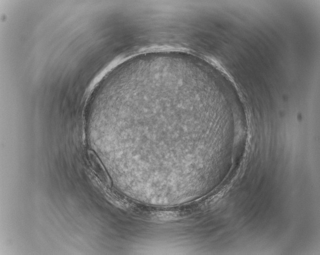 X0000052571173200507291959