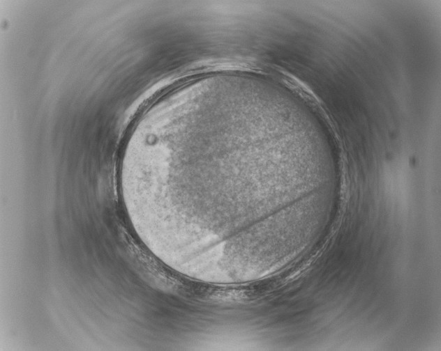 X0000052571174200507291959