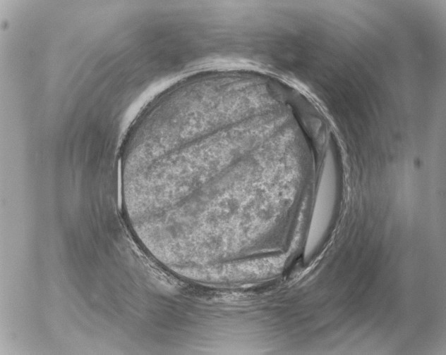 X0000052571175200507291959