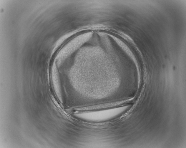 X0000052571176200507291959