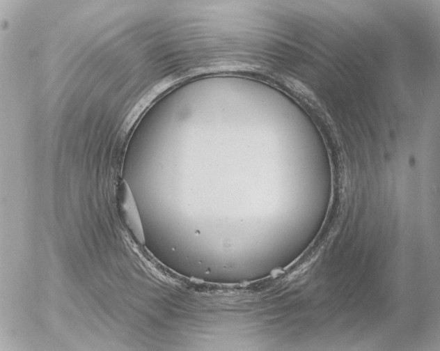 X0000052571177200507291959