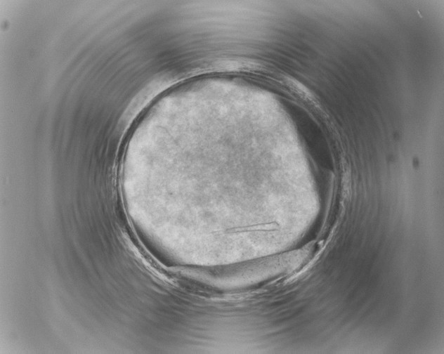 X0000052571178200507291959