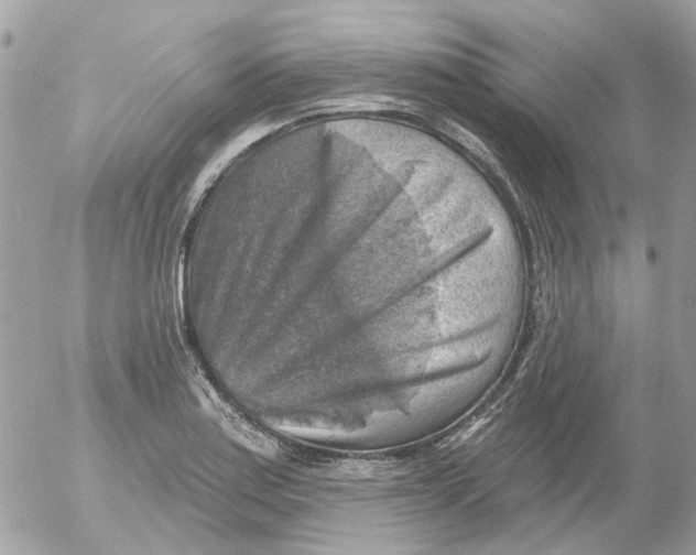 X0000052571179200507291959