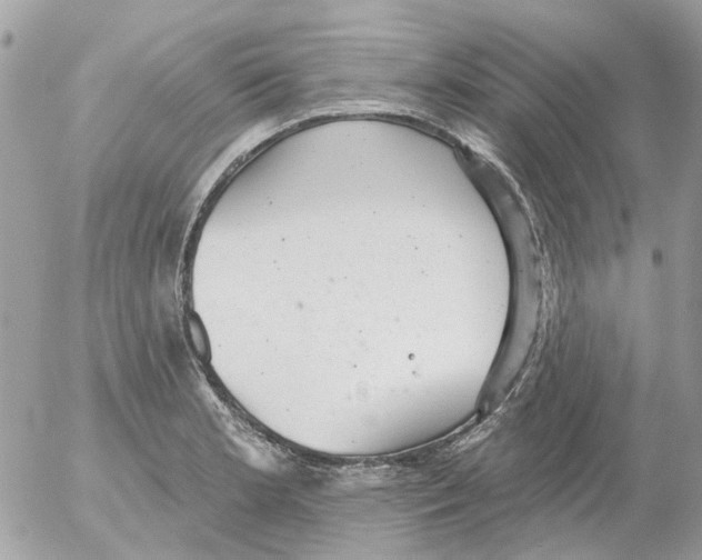 X0000052571181200507291959