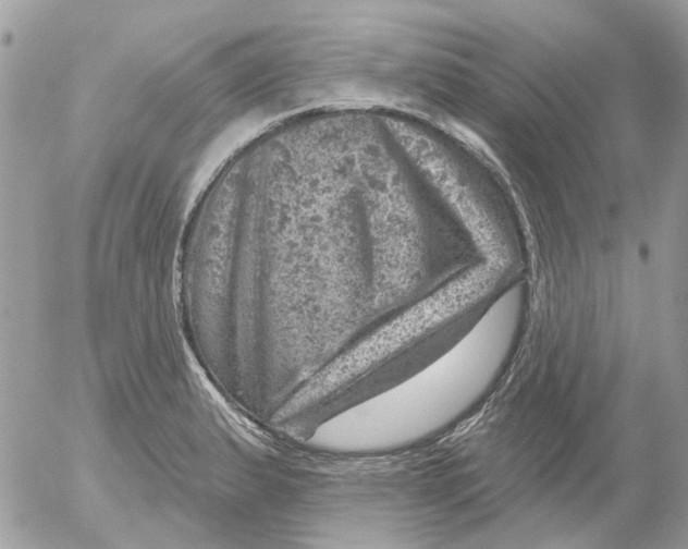 X0000052571183200507291959