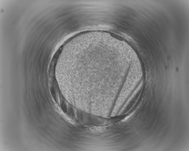 X0000052571184200507291959