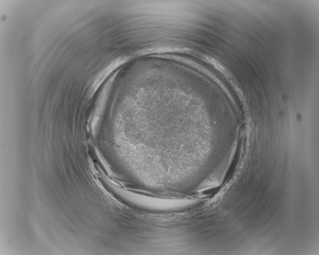 X0000052571185200507291958