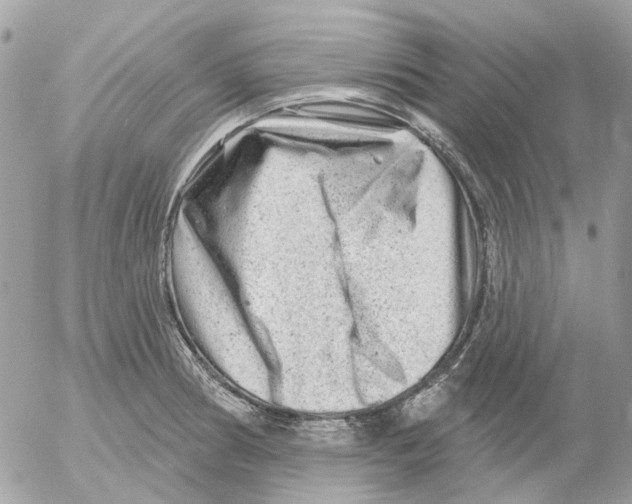 X0000052571186200507291958