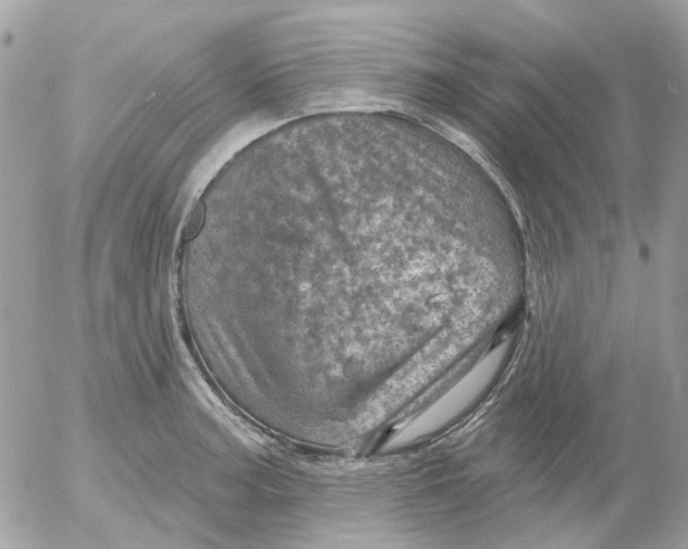 X0000052571187200507291958