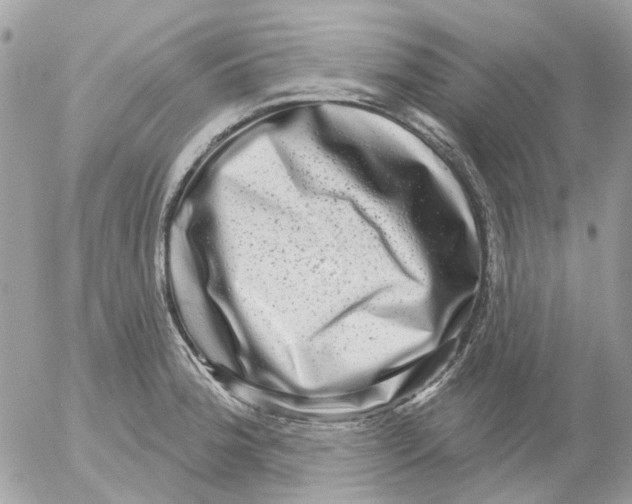 X0000052571188200507291958