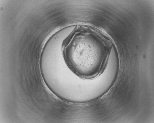 X0000052571189200507291958