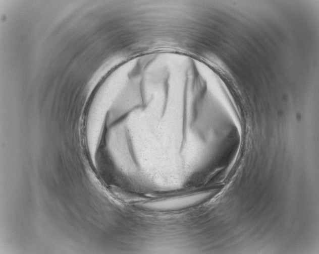 X0000052571190200507291958