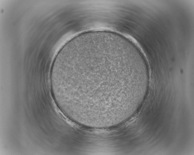 X0000052571191200507291958