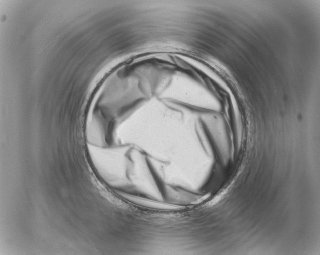 X0000052571192200507291958