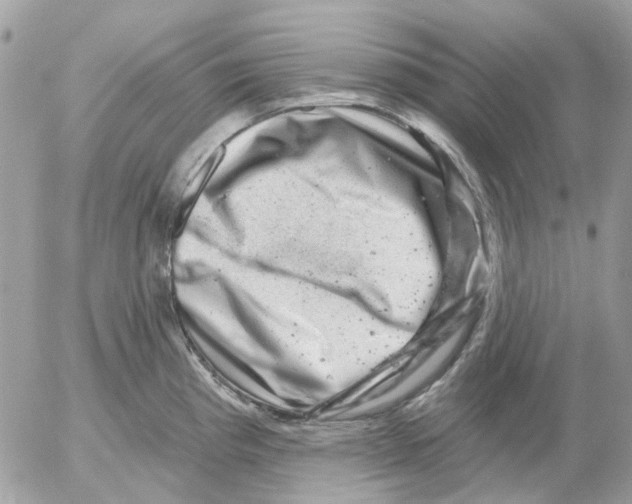 X0000052571193200507291958