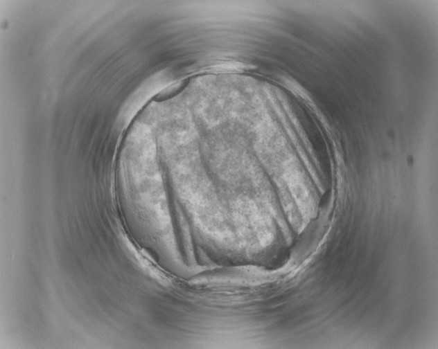 X0000052571194200507291958