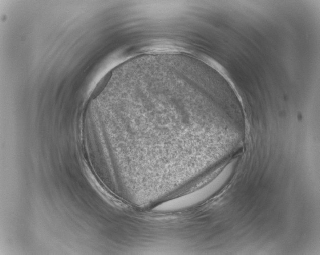 X0000052571195200507291958