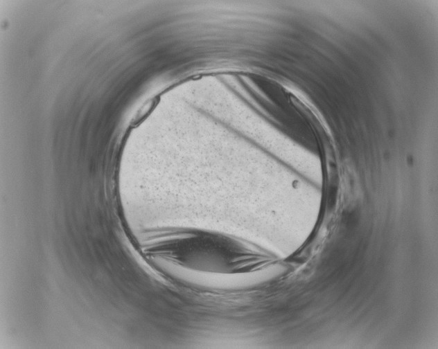 X0000052571197200507291958