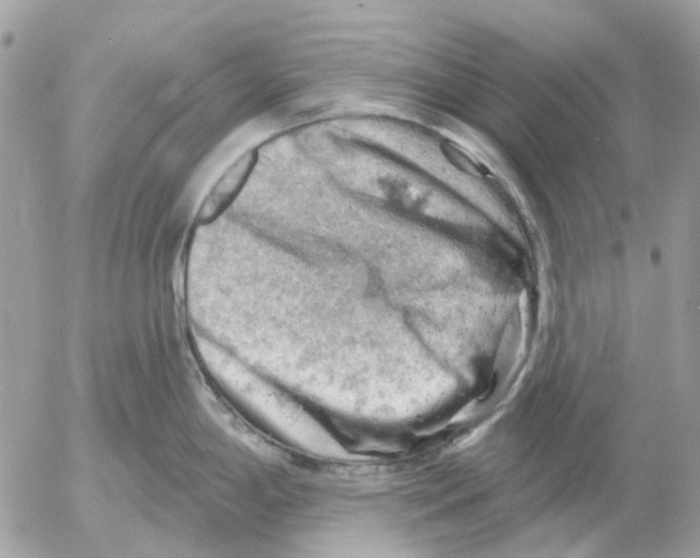 X0000052571198200507291958