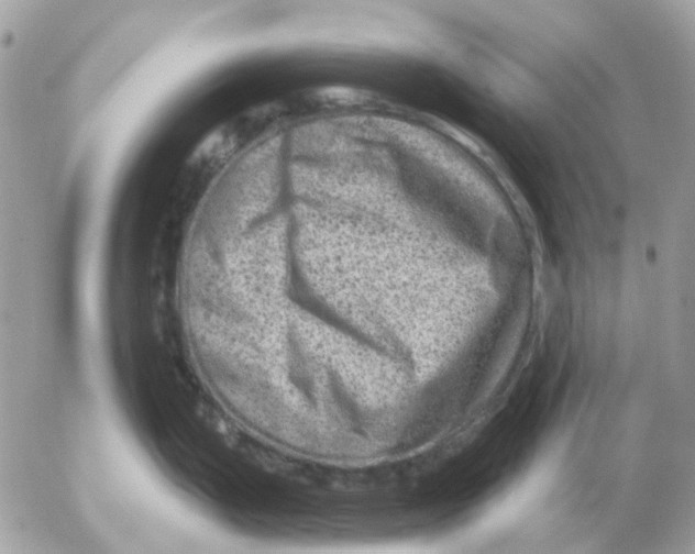 X0000052571199200507291958