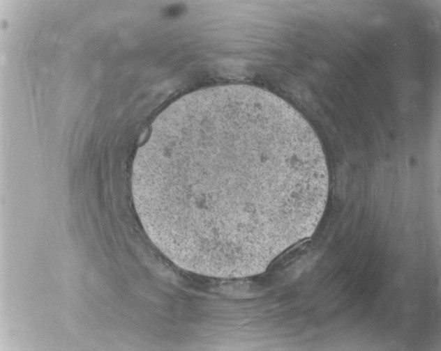 X0000052571201200507291957