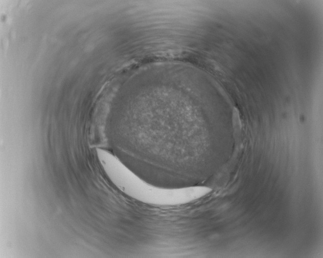 X0000052571202200507291957