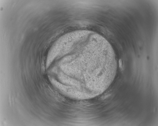 X0000052571203200507291958