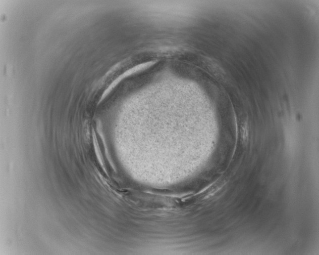 X0000052571204200507291958