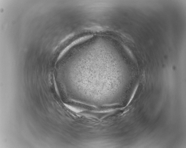 X0000052571205200507291958