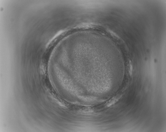 X0000052571206200507291958