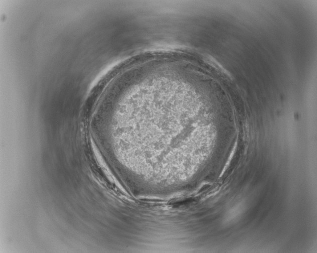 X0000052571208200507291958