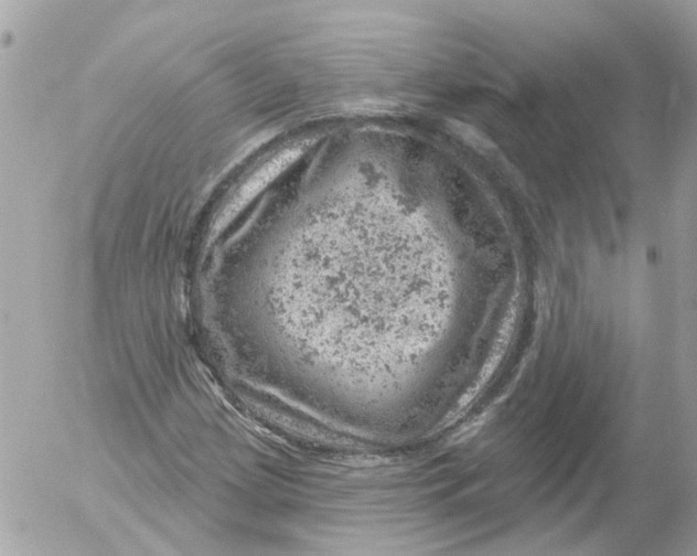 X0000052571209200507291958