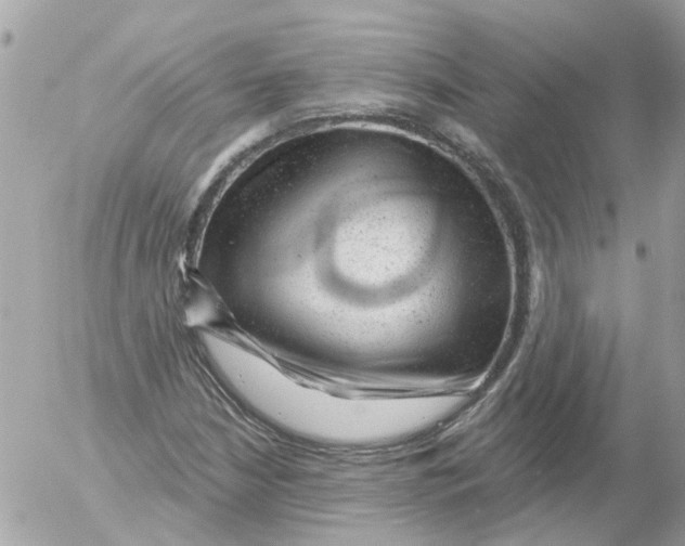 X0000052571210200507291958