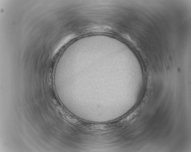 X0000052571211200507291958