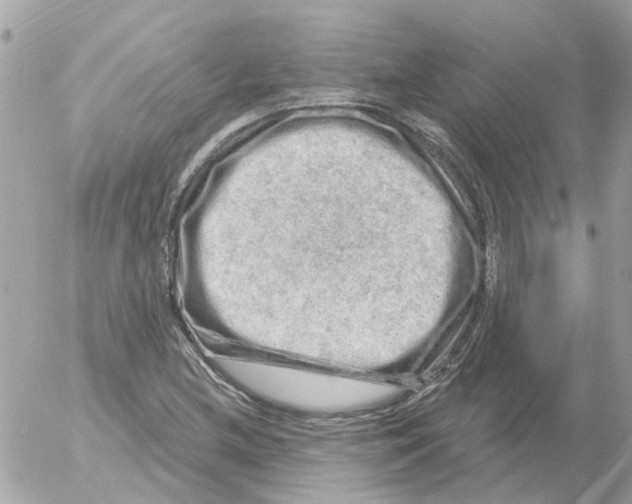 X0000052571212200507291958