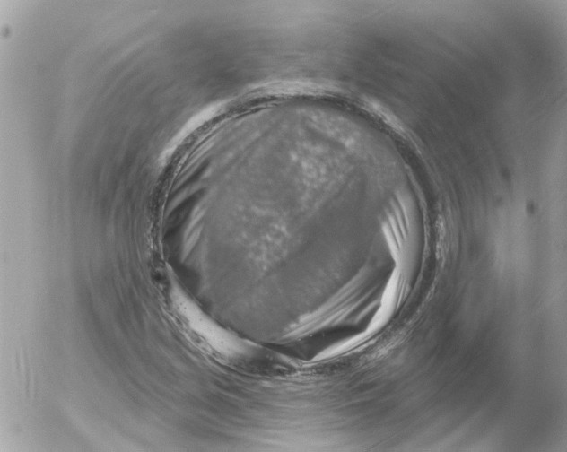 X0000052571213200507291958