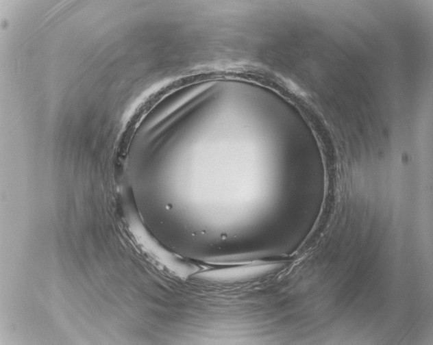 X0000052571214200507291958