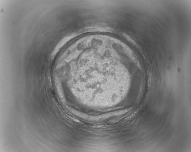 X0000052571215200507291958