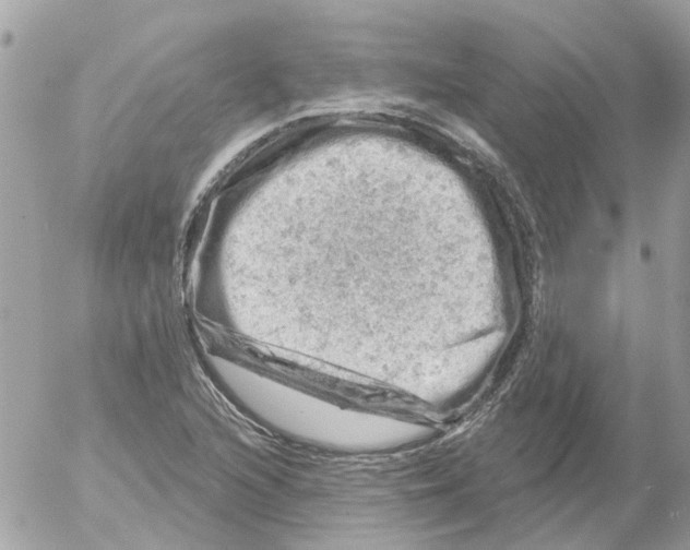 X0000052571216200507291958