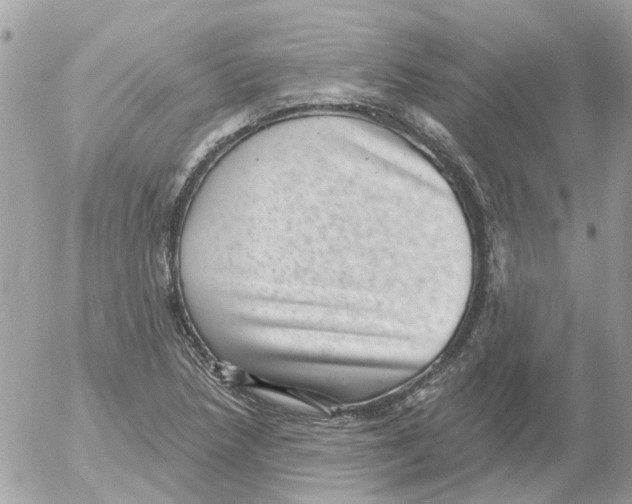 X0000052571218200507291958