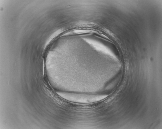 X0000052571219200507291958