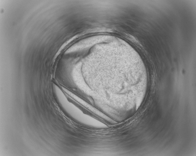 X0000052571220200507291958